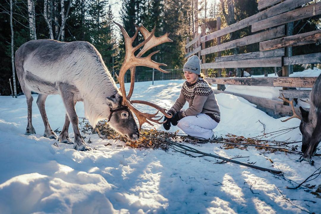 Valkeisen Loma Villa Ähtäri Eksteriør billede