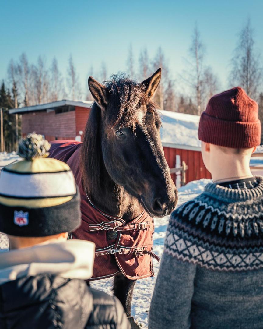 Valkeisen Loma Villa Ähtäri Eksteriør billede
