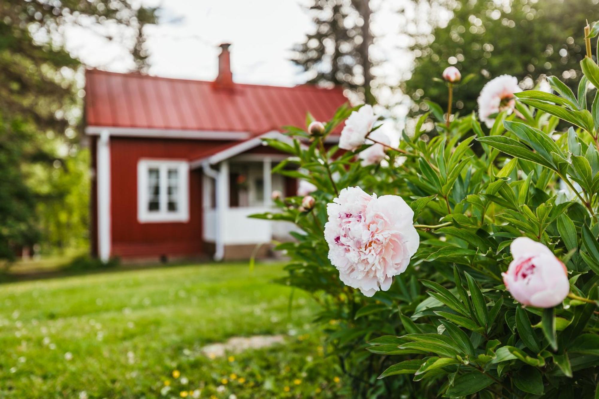 Valkeisen Loma Villa Ähtäri Eksteriør billede